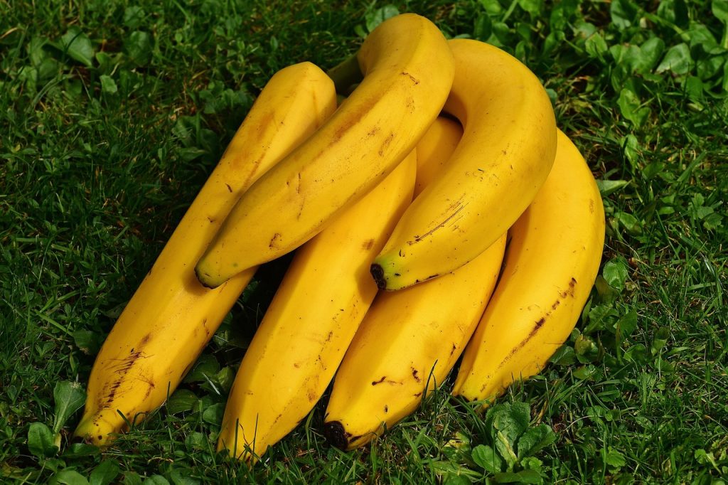 fruit flies hovering over ripe bananas on kitchen counter