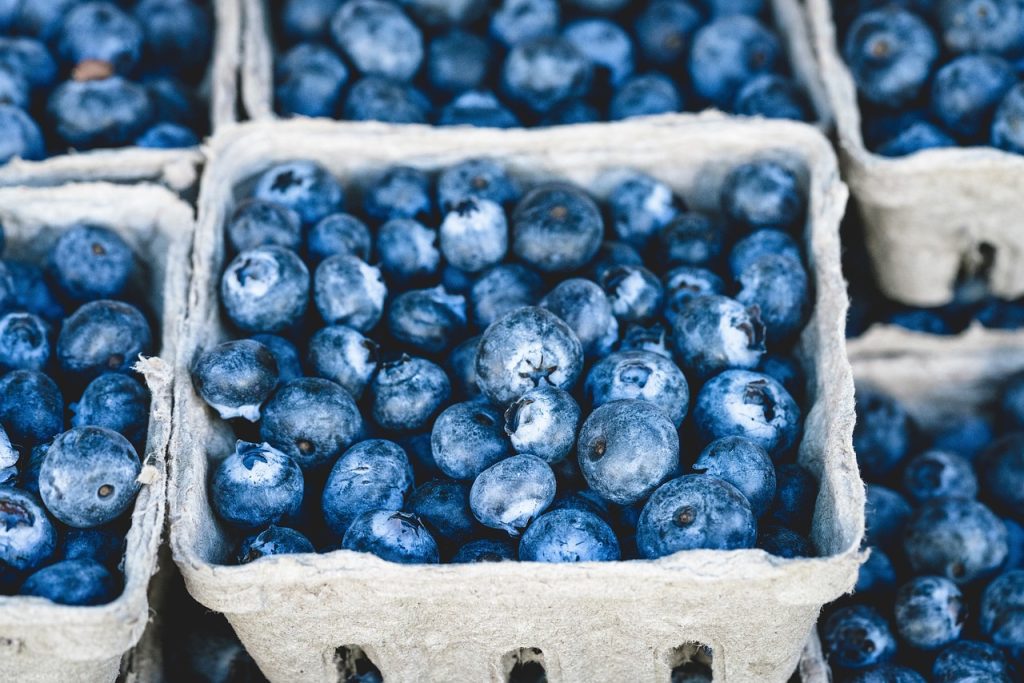 organized refrigerator with fruits stored in sealed containers