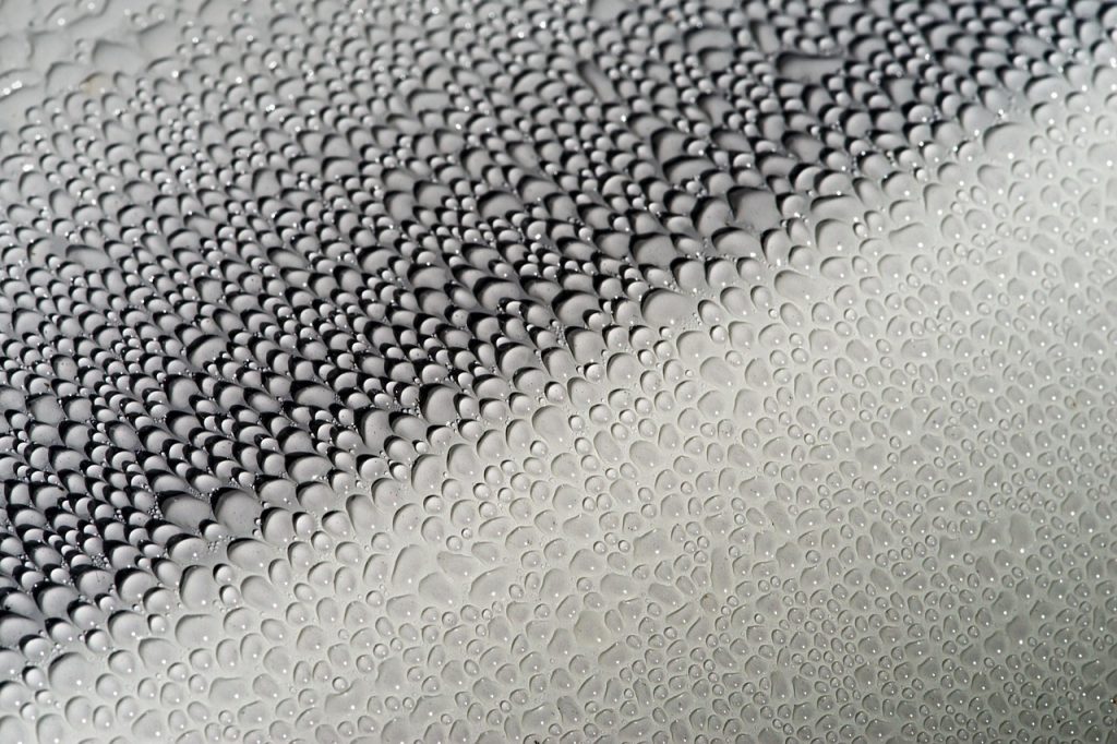 person carefully applying anti-mold spray coating on clean white wallpaper