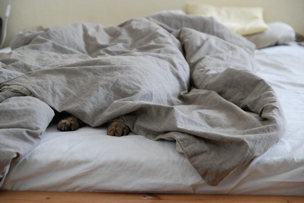 steam iron cleaning summer duvet at home