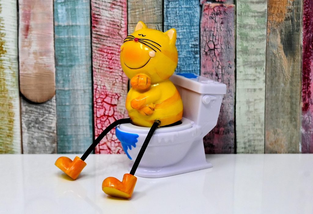 percarbonate soda fizzing in toilet bowl
