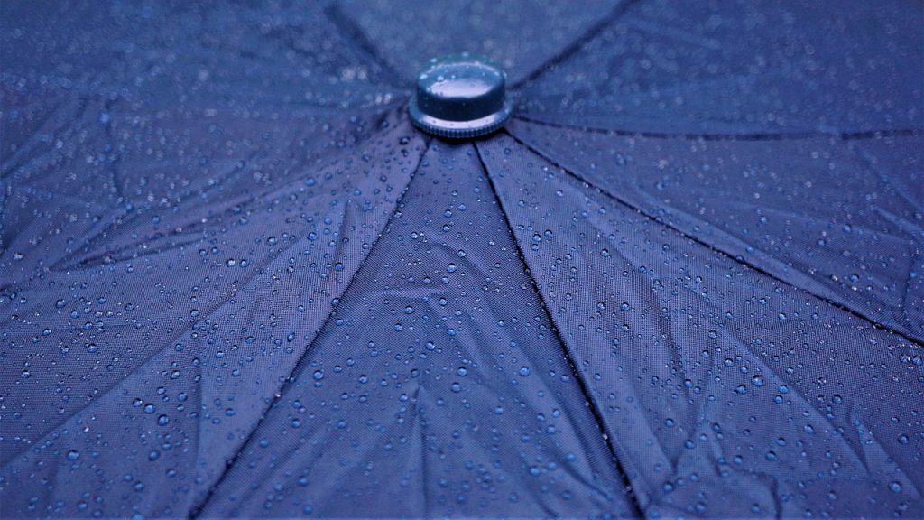 moldy umbrella fabric close-up under magnification