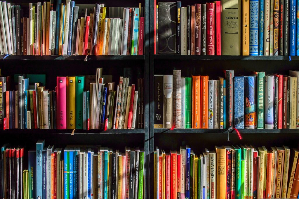 organized bookshelf with category labels and colorful spines